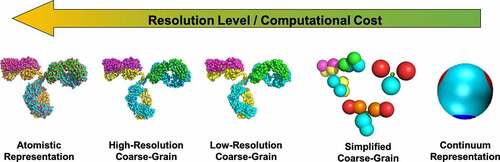 Figure 1. Representation of the hierarchy of computational protein models based on their level of resolution, using an IgG2 mAb (PDB: 1IGT) as an example. These types of models include: atomistic; high-resolution coarse-grain (based on the model from Bereau and DesernoCitation13); low resolution coarse-grain from Blanco et al.;Citation14 simplified coarse-grain using the 12-bead model from Calero-Rubio et al.Citation15 and the 4- and 7-bead models from Blanco et al.;Citation16 and a continuum model based on Wertheim’s theory adapted by Skar-Gislinge et al.Citation17 The arrow indicates the direction in which the resolution-level increases for each model.