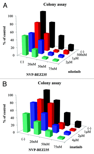 Figure 1. Effects of NVP-BEZ235 and imatinib or nilotinib on Ba/F3 BCR-ABL random mutagenesis cells. Ba/F3 BCR-ABL random mutagenesis cells were treated with the indicated concentration of NVP-BEZ235 and/or nilotinib (A) or imatinib (B) for 14 d. The colony-formation assay was performed as described in Materials and Methods. The data are representative of 3 independent sets of experiments. Statistical analysis was also performed by using two-way ANOVA. Two-way ANOVA analysis revealed combined effects of two drugs were additive.