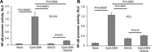 Figure 6 EGCG inhibits CpG-ODN-induced NF-κB transcriptional activation.Notes: (A) DU145 and (B) PC3 cells were cotransfected with NF-κB-luciferase plasmid (1.0 μg) and Renilla luciferase plasmid (0.1 μg). After 24 hours, cells were transfected with CpG-ODN (1 μM) with or without EGCG pretreatment (40 μg/ml) for 24 hours. NF-κB luciferase activity was normalized to Renilla luciferase activity and represented as fold induction. Data shown are means ± SD of experiments performed in triplicate. Student’s t-test: values as indicated.Abbreviations: CpG-ODN, CpG oligodeoxynucleotides; EGCG, epigallocatechin-3-gallate; RLU, relative luciferase units; SD, standard deviation; NF-κB, nuclear factor kappa-light-chain-enhancer of activated B cells.