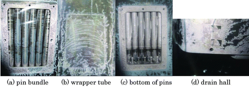 Figure 15 Surface views of pin bundle model after cleaning test (case 2–2)