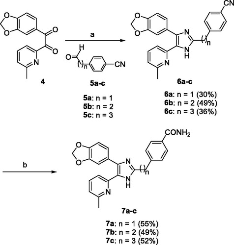 Scheme 1. Reagents and conditions: (a) NH4OAc, AcOH, 120 °C, 3 h; (b) 28% H2O2, 6 N NaOH, EtOH, 55 °C, 3 h.
