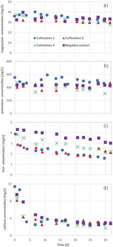 Figure 14. Magnesium (a) potassium (b) iron (c) and calcium (d), concentrations during 30 d − 32 d in three cultivation series of A. platensis: cultivation 1 (blue circles), cultivation 2 (red triangles), cultivation 3 (green crosses) and the negative control (purple squares) in Zarrouk medium.