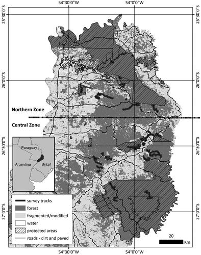 Figure 1. Location of Misiones, Argentina, in South America (inset). Map of Misiones province showing protected areas across the northern and central zones. These areas are shown in relation to the land-use pattern existing in Misiones in 2009: forest, fragmented or altered areas, and large bodies of water [Citation27]