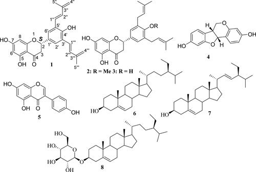 Figure 1. Structures of compounds 1–8 from the methanolic leaf extract of E. senegalensis.
