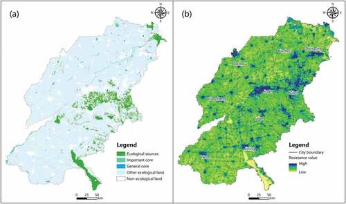 Figure 4. Spatial distribution of ecological sources and ecological resistance surfaces.