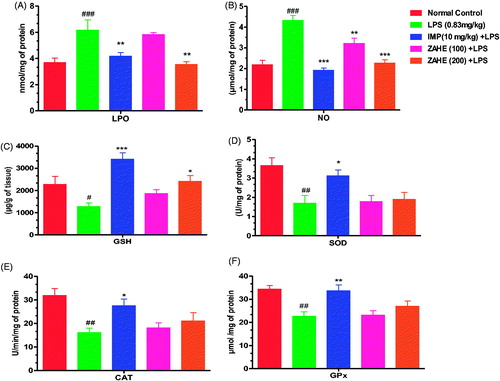 Figure 3. Effect of ZAHE pretreatment in LPS challenged animals on in vivo oxidant and antioxidant parameters: (A) LPO, (B) nitrite level, (C) reduced GSH, (D) SOD, (E) catalase, and (F) GPx. Values represent the mean ± SEM. (N = 6 animals/group). ###p < 0.001, ##p < 0.01, #p < 0.05 compared with normal control. *p < 0.05; **p < 0.01; ***p < 0.001 compared with LPS challenged group.