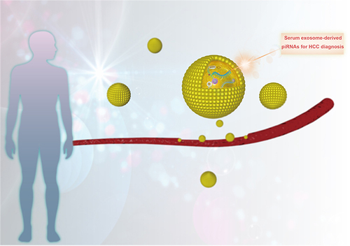 Figure 4 piRNAs, as the newly identified components of serum exosomes from HCC patients, could be promising biomarkers for the diagnosis of HCC.