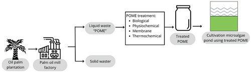 Figure 1. Pre-treatment process of POME as growth medium of microalgae.