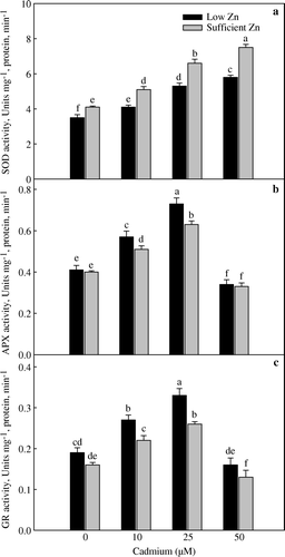 Figure 3.  Activities of superoxide dismutase (a), ascorbate peroxidase (b) and glutathione reductase (c) of wheat (Triticum aestivum) grown with 0, 10, 25 and 50 µM Cd under low (0.5 µµM Zn) and sufficient zinc (2 µM Zn) at 30 days of seedling emergence. Treatment mean±SE; (n=3). Data followed by the same letter are not significantly different at p≤0.05 level as determined by Duncan's multiple range test.