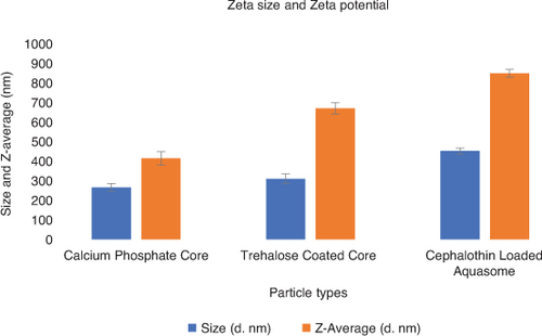 Figure 3. The size and Z-Average of calcium phosphate core, Trehalose coated core and cephalothin-loaded aquasome.Comparison of particle sizes in each step of preparing drug loaded aquasomes.nm: Nanometer.