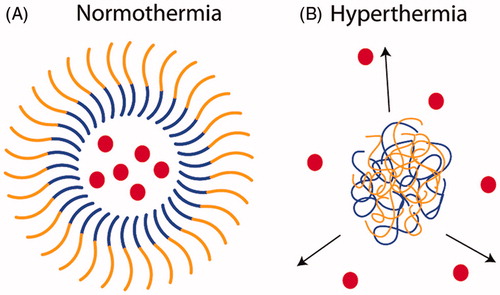 Figure 4. Diblock micelles with thermosensitive coronas. (A) At temperatures below the transition temperature of the thermosensitive polymer (orange; pNIPAAm), the hydrophilic thermosensitive corona and the hydrophobic core (blue; poly(ε-caprolactone)) spontaneously assemble into micelles that can encapsulate drugs. (B) At temperatures above the LCST of pNIPAAm, the corona collapses into a hydrophobic coacervate, thereby destabilising the structure and releasing the drugs.
