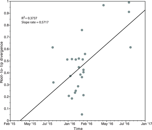Fig. 2 Updated Root-to-tip regression analysis of all 27 C. auris outbreak isolates