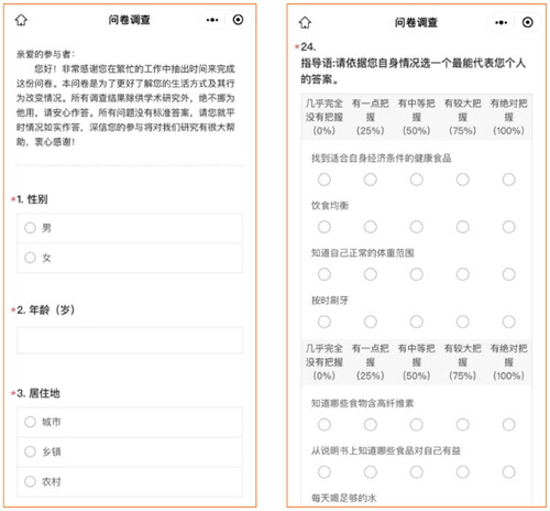 Figure 9. The ‘questionnaire survey’ interface.