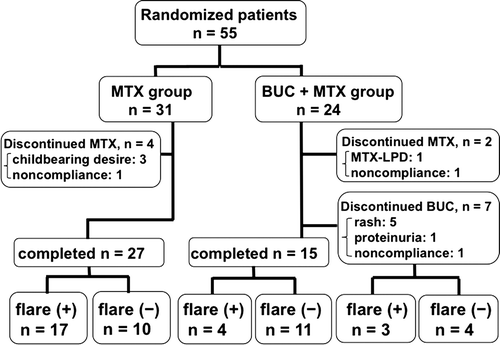Figure 1. Disposition of randomized patients through the 2 years. Patients who discontinued MTX were excluded from further analyses.