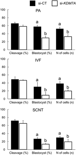 Figure 1. Developmental rates and total number of cells in parthenogenetic (PA), in vitro fertilized (IVF) and somatic cell nuclear transfer (SCNT) embryos injected with si-CT (black bars) and si-KDM7A (white bars). Results are presented as means ± SEM, and P < 0.05 was considered statistically significant. Different letters indicate statistical significance between groups on the same day. Three independent replicates were performed using 30–40 embryos per group in each replicate.