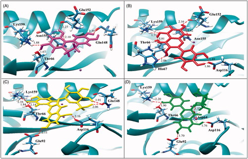 Figure 2. Molecular docking of active compounds with HIV-1 IN. The ribbon models show the backbone of HIV-1 IN catalytic domain with all hydrogen bonding residues are shown as stick models and coloured by heteroatom. Hydrogen bond interactions are shown as red dash lines and represent bond length in angstrom (Å). Mg2+ ions are shown as purple balls. Compound 3 (A), compound 4 (B), compound 6 (C), and compound 7 (D).