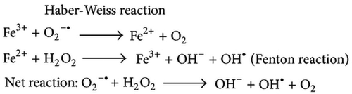 Figure 3. Fenton reaction.