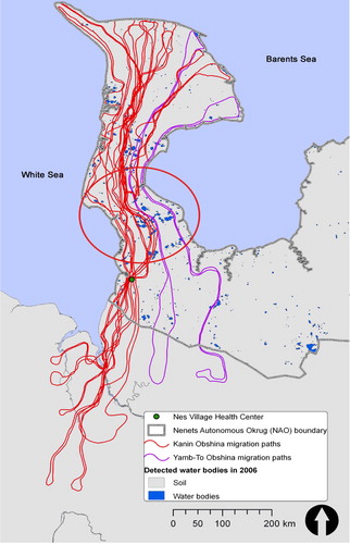 Fig. 1.  Kanin and Yamb-To Obshina migratory routes connecting the summer pastures on Kanin Peninsula to the winter camps in lower-latitude areas. Nes serves as a key logistics and health care hub for most herders in the Kanin area. The cluster of lakes and marshland at Kanin Neck is highlighted by the red oval.