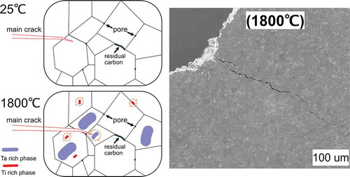 Figure 6. Possible toughening mechanism due to local chemical gradient at ambient temperature and at 1800°C. Microcracks and related force fields are being generated as a result of the local carbide decomposition into several phases, initial medium-entropy or high-entropy carbide acts as a matrix under residual compressive stresses. These microcracks may shield crack tip during fracture, or directly pin the crack. Note, that microcracks after the flexural strength tests at 2000°C were observed in ref [Citation8], Scr Mat. Right image shows crack propagation behavior at the lateral surface of the test bar after fracture toughness test following three-point flexure at 1800°C (SE mode)