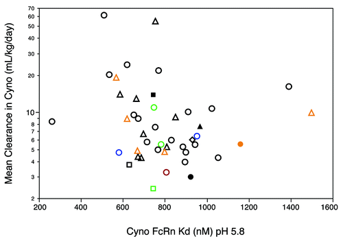 Figure 4. Relationship between antibody clearance in cynomolgus monkeys and binding affinity (KD, pH 5.8) for cynomolgus monkey FcRn. Symbols as defined in Figure 2 are used. Dissociation constants (KD) in nM were determined from steady-state analysis of SPR data as described by Yeung et al.Citation19