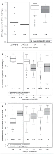 Figure 3. Boxplots representing the association between DNA methylation at the 3 CpG sites of interest (cg18146737, cg05575921, and cg12803068) and exposure to maternal smoking during gestation, by genotype at the corresponding strongest associated SNP (rs141819830, rs148405299, and rs61087368) in 736 participants of the California Childhood Leukemia Study.