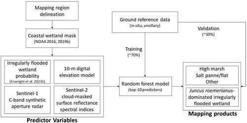 Figure 2. Overview of the approach used for mapping high marsh and salt pannes/flats along the northern Gulf of Mexico coast, USA.