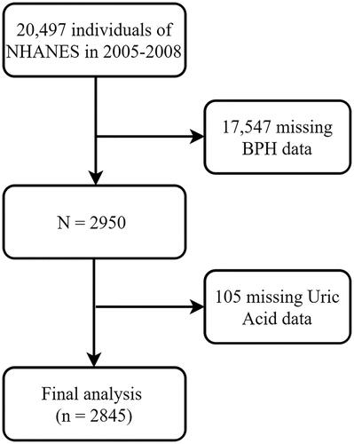 Figure 1. Flow chart of the screening process for participants included in this study.