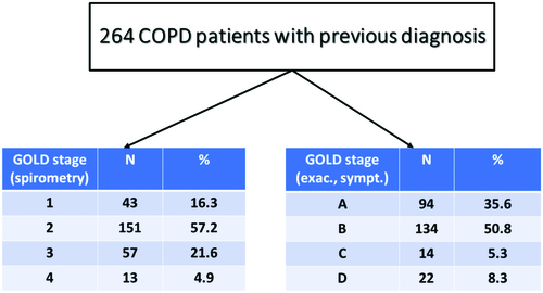 Figure 2. Severity classification of patients with COPD.