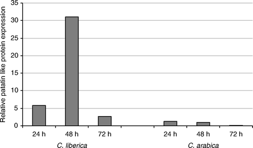 Figure 6.  Relative expression of patatin-like protein gene CEN73488 by quantitative real-time PCR. Quantitative real-time PCR was performed with cDNA from green coffee berries at 24, 48 and 72 h after infestation of CBB in C. liberica and C. arabica.