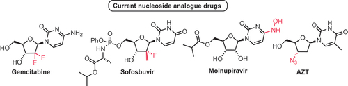 Figure 1. Examples of nucleoside analogue drugs.