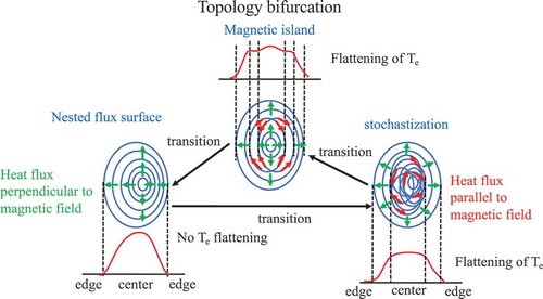 Figure 3. Diagram of topology bifurcation in magnetically confined toroidal plasma.