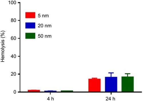 Figure S2 The hemolytic activities of different sized gold nanoparticles (AuNPs) were evaluated by hemolysis assay. Different sized AuNPs with the concentrations of 100 µM were incubated with mouse erythrocytes suspension at 37 °C for 4 h and 24 h, respectively