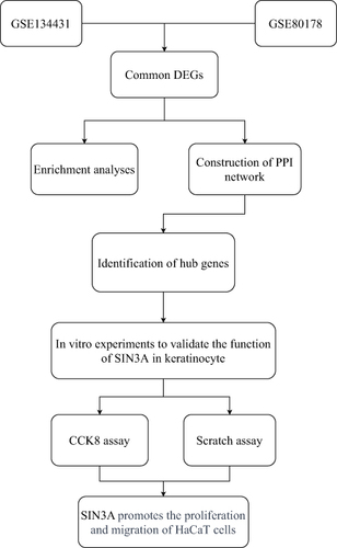 Figure 1 Flowchart for bioinformatics analysis of publicly available data from GEO databases and in vitro experiments.