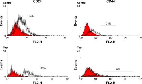 Figure 5 Expression of cell markers CD44 and CD24 in MCF-7 cell line.