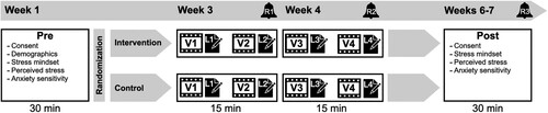 Figure 2. Randomized experimental design.