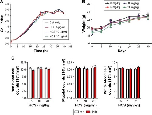 Figure 6 Toxicity of HCSs. (A) In vitro cell proliferation assay to evaluate the cytotoxicity of HCSs. In vivo toxicity assay for analyzing (B) body weight and (C) blood cells chemistry in mice.Abbreviation: HCS, hollow carbon sphere.