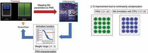 Figure 5. (left) Concept of training and implementing photonic neural networks. Inset shows the NLAF of the photonic neural network measured with real-time signals. The NLAF is realized by a fast O/E/O neuron using a SiGe photodetector connected to a microring modulator with a reverse-biased PN junction embedded in the microring. (right) Constellations of X-polarization of a 32 Gbaud PM-16QAM, with the ANN-NLC gain of 0.57 dB in Q-factor and with the PNN-NLC gain of 0.51 dB in Q-factor [Citation22]