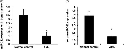 Figure 1. The expression levels of miR‑342 expression in AML. (A) The expression levels of miR‑342 expression in bone marrow AML patients and control groups. (B) The expression levels of miR-342 in patients’ sera and healthy controls. p-values were calculated using ANOVA. *p < .01 compared with the normal control group.