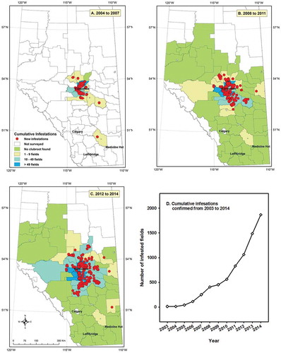 Fig. 2 (Colour online) The cumulative number of clubroot-infested fields confirmed in Alberta, with new infestations illustrated as red dots for (a) 2005 to 2007, (b) 2008 to 2011, (c) 2012 to 2014, presented by county, and (d) the cumulative number of infested fields in Alberta by year.