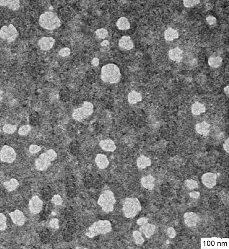 Figure 4 Transmission electron micrographs of astaxanthin nanodispersion prepared in optimum homogenization conditions (6,000 rpm and 7 minutes).