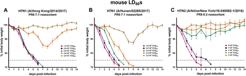 Fig. 3 Determination of 50% mouse lethal doses (LD50) of PR8-based reassortant H7 viruses.Weight loss curve of 6–8-week-old female BALB/c mice (n = 3 per group) infected with different doses of (a) H7N1 (A/Hong Kong/2014/2017), (b) H7N1 (A/Hunan/02285/2017), and (c) H7N2 (A/feline/New York/16-040082/2016). The error bar indicate the standard error of the mean. The weight loss and survival were monitored for 14 days. The dashed gray line represents 75% initial body weight, which was defined as the humane endpoint