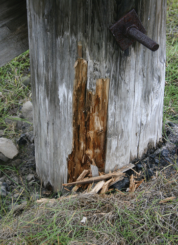 Figure 13. Detail showing rot in the wooden pole of a cable car buck in Longyearbyen, Svalbard.
