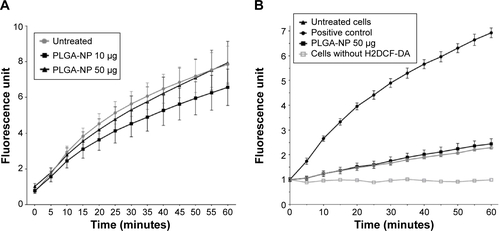 Figure S1 PLGA-NP do not interfere with ROS induction.Notes: (A) A549 cells were loaded with H2DCF-DA and treated with PLGA nanoparticles (150 µg/cm2). Fluorescence of H2DCF-DA was measured to quantify ROS induction. Positive control was pyocyanin. Cells without H2DCF-DA served as specificity test for fluorescence. (B) A549 cells loaded with H2DCF-DA and treated with THBP, a ROS donor, with or without PLGA-NP (30 or 150 µg/cm2). Fluorescence of H2DCF-DA was measured to quantify ROS induction.Abbreviations: PLGA, poly-lactic-co-glycolic acid; NP, nanoparticles; H2DCF-DA, 2′,7′-dichlorodihydrofluorescein diacetate; ROS, reactive oxygen species; THBP, tert-butyl hydroperoxide.