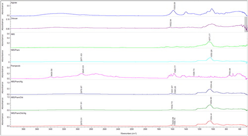 Figure 6. FTIR spectra of HMS, pramipexole (Prami), pramipexole-loaded (HMS/Prami) and polymer-coated particles (HMS/Prami/Chit, HMS/Prami/Alg and HMS/Prami/Chit/Alg) compared to the spectra of pure polymer chitosan and sodium alginate.