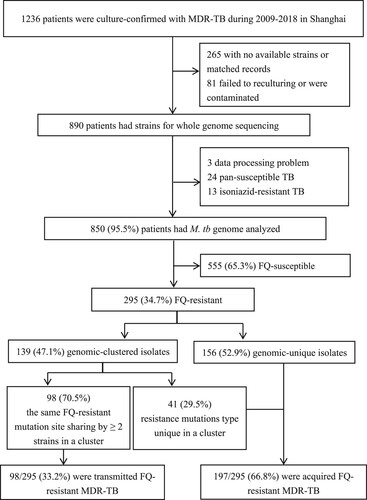 Figure 1. Flow chart of the study. Abbreviations: MDR-TB, multidrug-resistant tuberculosis; FQ, Fluoroquinolones; M. tb, Mycobacterium tuberculosis.