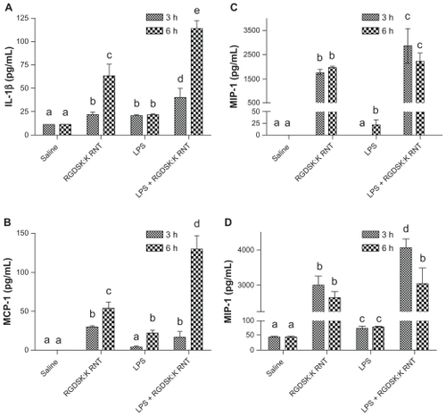 Figure 5 Secretion of proinflammatory cytokines. Lung homogenates from various treatment groups were analyzed for proinflammatory cytokines. Mice treated with K90/RGDSKCitation10 rosette nanotubes showed a significant increase in secretion of interleukin-1β, MIP-1, MCP-1, and KC-1 compared with the saline control and lipopolysaccharide groups. Interestingly, the K90/RGDSKCitation10 rosette nanotube + lipopolysaccharide group showed the highest levels of interleukin-1β, MIP-1, MCP-1, and KC-1.Note: Groups bearing different superscripts were significantly different (P < 0.05), while the groups with similar superscripts did not differ.Abbreviations: IL-1beta, interleukin-1beta; MCP-1, monocyte chemoattractant protein-1; KC-1, keratinocyte-dereived chemokine-1; MIP-1, macrophage inflammatory protein-1; ICAM, intercellular adhesion molecule.