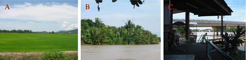 Figure 3 Distribution of roughness zone types visualized in the study area. A: wet padi; B: heavy stand of trees; and C: man-made features