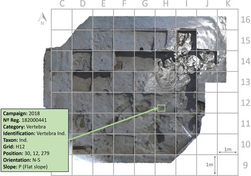 Figure 11. Archaeological site and remains of Venta Micena 4, including grid and an example of the data in Table 1. The origin of each square (0,0) is the southwesternmost corner. Most of the remains are located in squares H14 and I14.