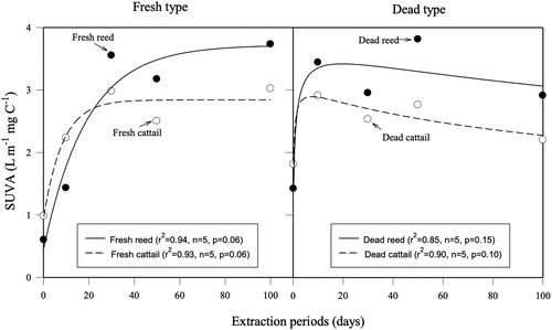 Figure 5. Relationship between extraction periods (days) and SUVA at 260 nm (L m−1 mg C−1) in fresh (left) and dead (right) types for reed and cattail. Two different regression models between fresh and dead types are used: ‘exponential rise to maximum’ for fresh type and ‘peak, log normal’ for dead type calculated by SigmaPlot (Systat Software Inc.).