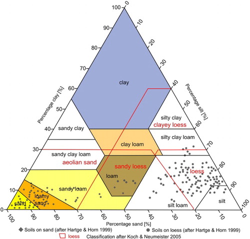 Figure 4. Comparison of grain sizes to soils and loess sediment classification (after CitationBlott & Pye, 2012).